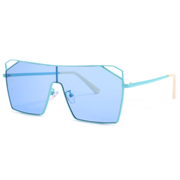 'Automatic' Sunglasses