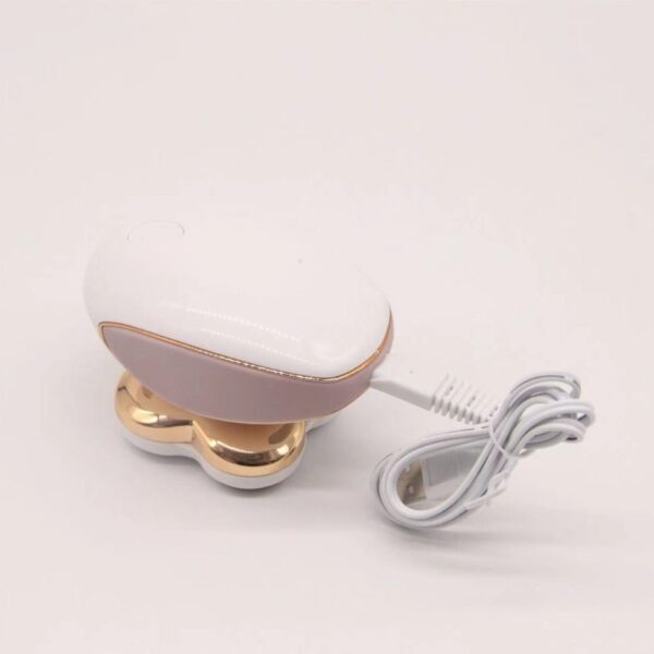 Electric Epilator